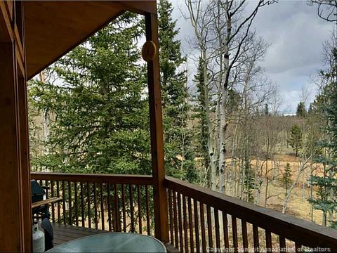 38 Grebe Ln, Como, CO 80432 photo 18