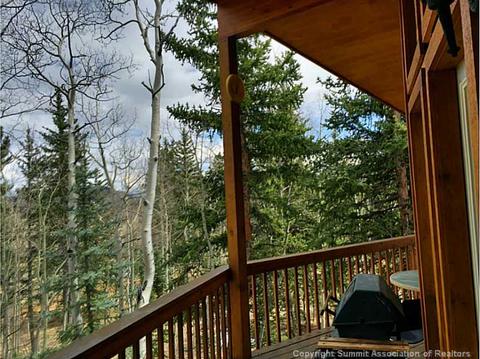 38 Grebe Ln, Como, CO 80432 photo 15