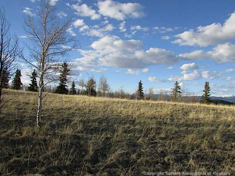 1181 Warrior Cir, Como, CO 80432 photo 5