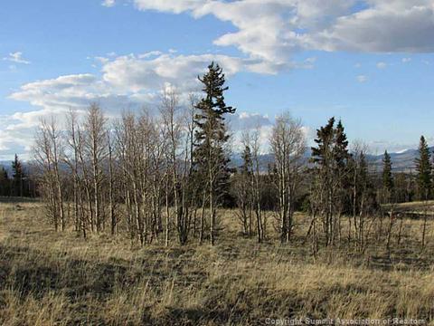 1181 Warrior Cir, Como, CO 80432 photo 4