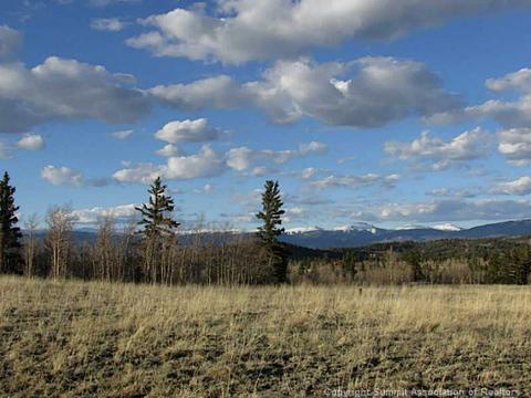 1181 Warrior Cir, Como, CO 80432 photo 6