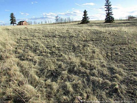 1181 Warrior Cir, Como, CO 80432 photo 1