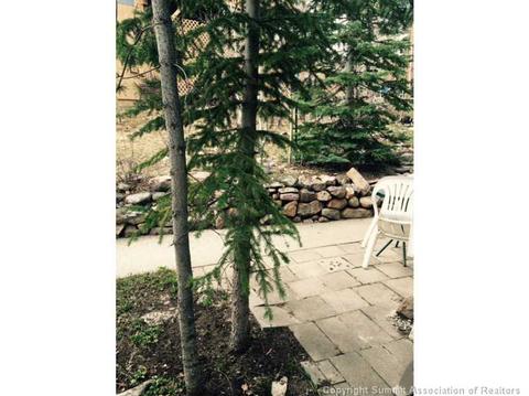 91 Buffalo Dr, Silverthorne, CO 80498 photo 2