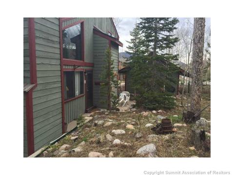 91 Buffalo Dr, Silverthorne, CO 80498 photo 23
