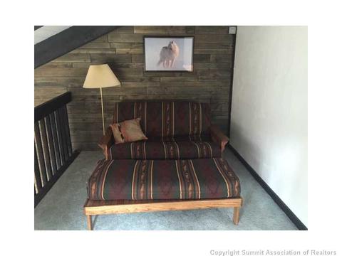 91 Buffalo Dr, Silverthorne, CO 80498 photo 19