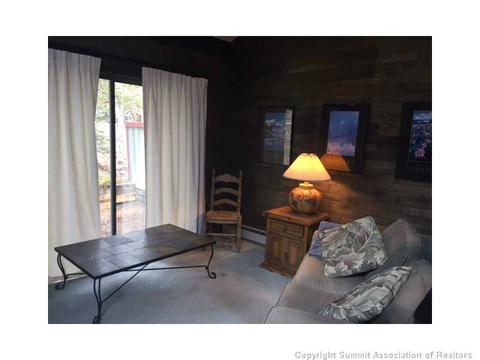 91 Buffalo Dr, Silverthorne, CO 80498 photo 3