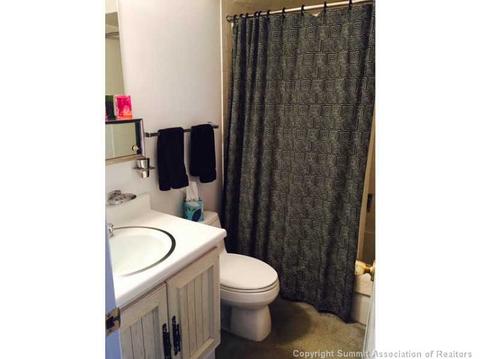 91 Buffalo Dr, Silverthorne, CO 80498 photo 7