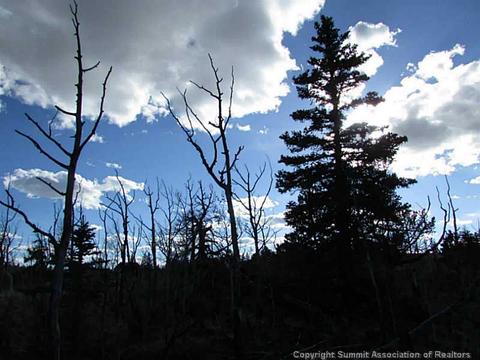 68 Teton Way, Como, CO 80432 photo 3
