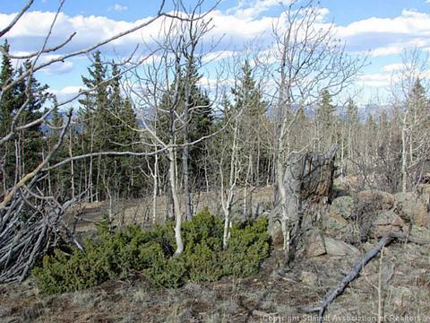 68 Teton Way, Como, CO 80432 photo 6