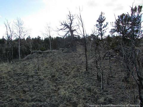 68 Teton Way, Como, CO 80432 photo 4