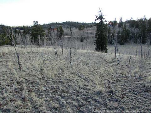 68 Teton Way, Como, CO 80432 photo 8