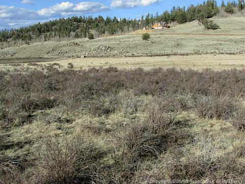 1424 Arrowhead Dr, Como, CO 80432 photo 4