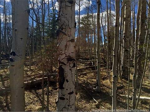 93 Arrowhead Dr, Como, CO 80432 photo 3