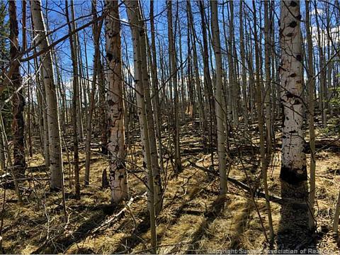 93 Arrowhead Dr, Como, CO 80432 photo 1