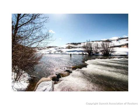 1181 Rainbow Dr, Silverthorne, CO 80498 photo 18