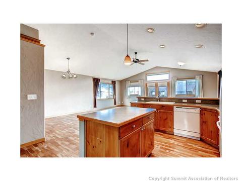 1181 Rainbow Dr, Silverthorne, CO 80498 photo 3