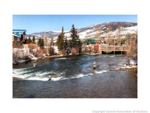 1181 Rainbow Dr, Silverthorne, CO 80498 photo 19