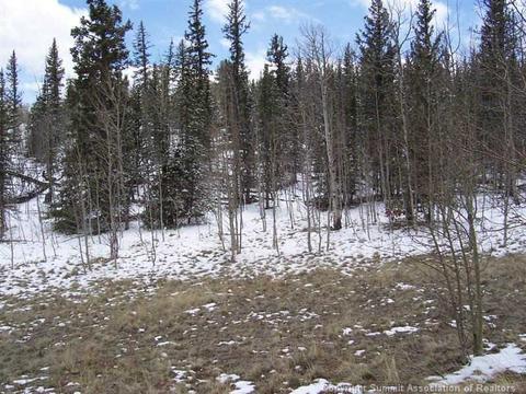 570 Apache Trl, Como, CO 80432 photo 2