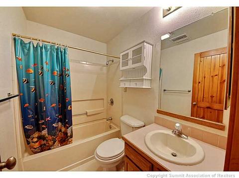 551 Ryan Gulch Rd, Silverthorne, CO 80498 photo 16