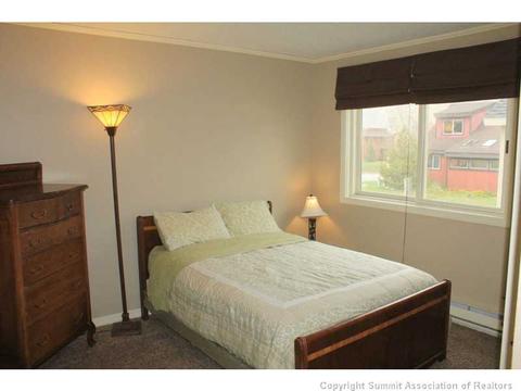 252 Coyote Ct, Silverthorne, CO 80498 photo 19