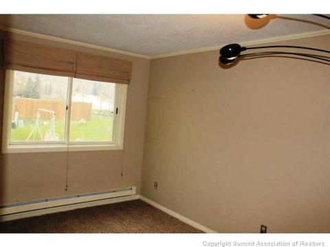 252 Coyote Ct, Silverthorne, CO 80498 photo 18