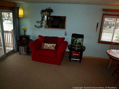 76 Cove Blvd #E2, Dillon, CO 80435 photo 10