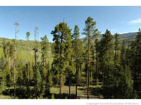 356 Black Hawk Cir, Silverthorne, CO 80498 photo 24
