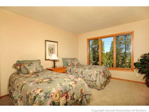 356 Black Hawk Cir, Silverthorne, CO 80498 photo 19