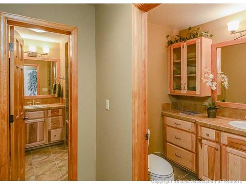 356 Black Hawk Cir, Silverthorne, CO 80498 photo 17
