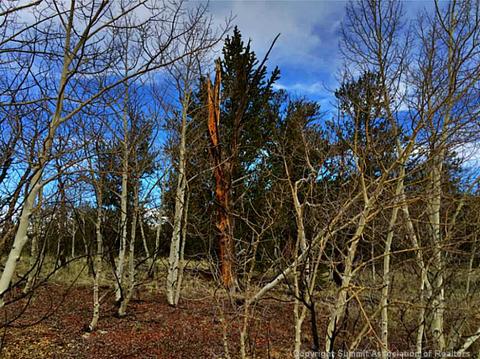 500 Breech Trl, Como, CO 80432 photo 7