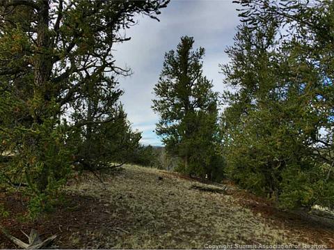 500 Breech Trl, Como, CO 80432 photo 3