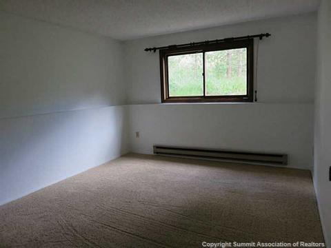 48 Geil Ln, Dillon, CO 80435 photo 15