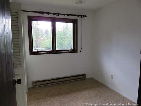 48 Geil Ln, Dillon, CO 80435 photo 7