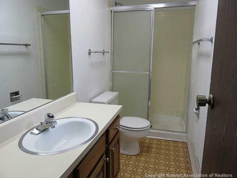 48 Geil Ln, Dillon, CO 80435 photo 9