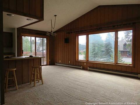 48 Geil Ln, Dillon, CO 80435 photo 4