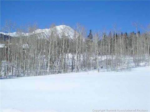 225 Two Cabins Dr, Silverthorne, CO 80498 photo 25
