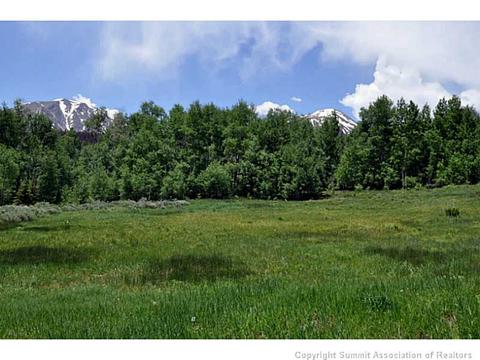 225 Two Cabins Dr, Silverthorne, CO 80498 photo 16