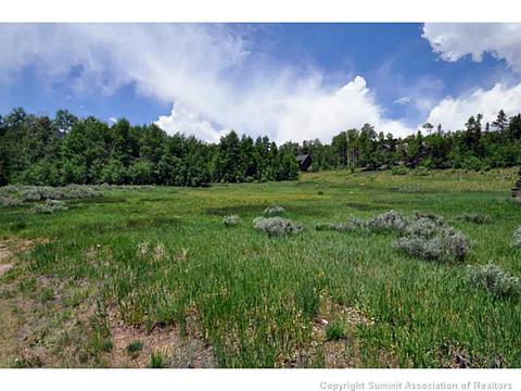 225 Two Cabins Dr, Silverthorne, CO 80498 photo 20