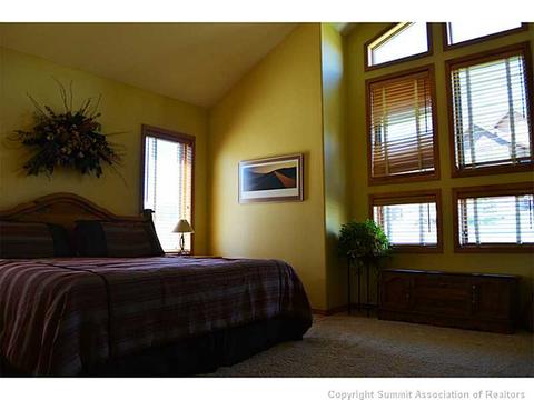 109 Lone Wolf Ct, Dillon, CO 80435 photo 13