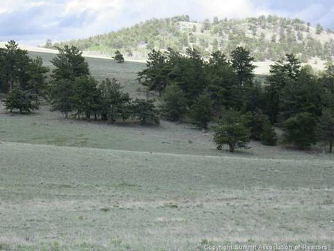 11 El Toro Way, Como, CO 80432 photo 5