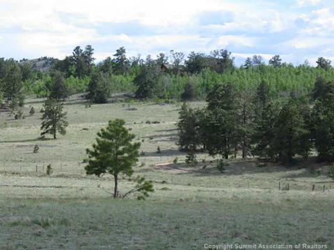 11 El Toro Way, Como, CO 80432 photo 2