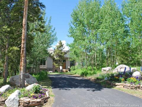 1809 Falcon Dr, Silverthorne, CO 80498 photo 2