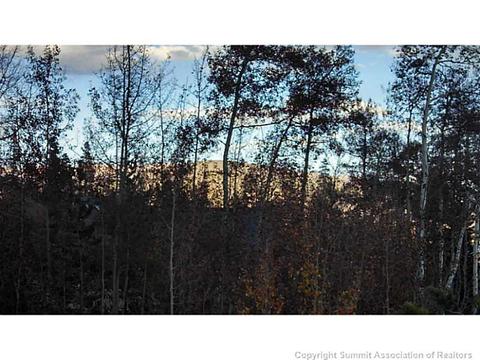 41 Thimbleberry Way, Silverthorne, CO 80498 photo 4