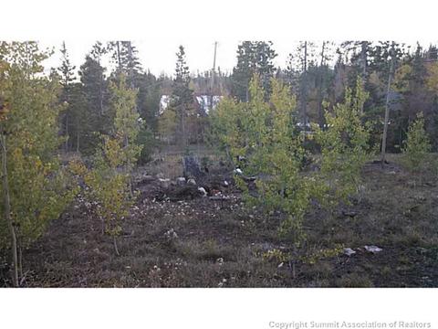 41 Thimbleberry Way, Silverthorne, CO 80498 photo 2