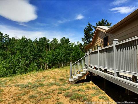 59 Osprey Rd, Como, CO 80432 photo 22
