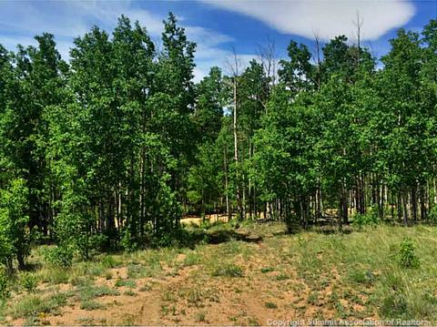 59 Osprey Rd, Como, CO 80432 photo 23