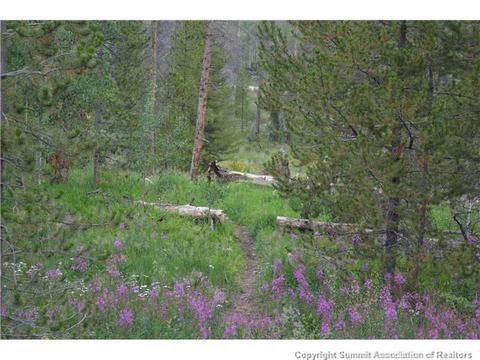 3715 Silverheels Dr, Silverthorne, CO 80498 photo 22