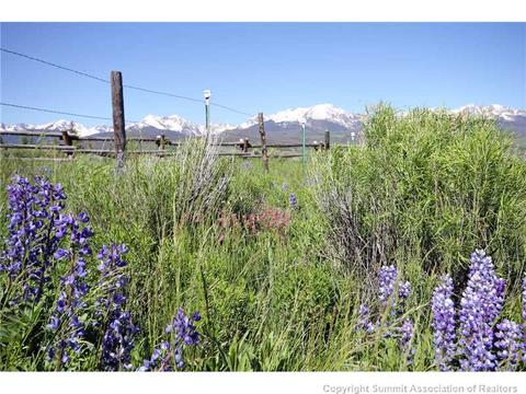 441 Rodeo Dr, Silverthorne, CO 80498 photo 10