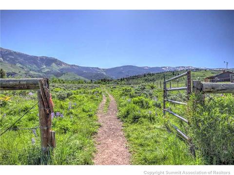 441 Rodeo Dr, Silverthorne, CO 80498 photo 9