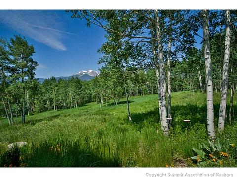 343 J Rd, Silverthorne, CO 80498 photo 14